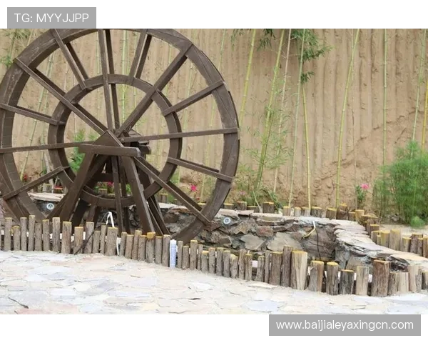 提升DB真人游戏体验的实用建议与安全保障措施